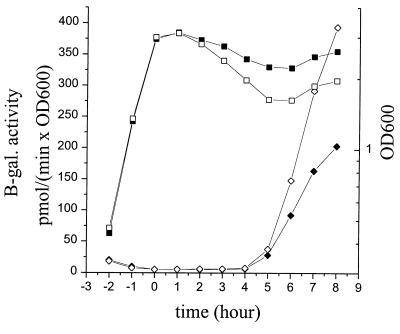 FIG. 5