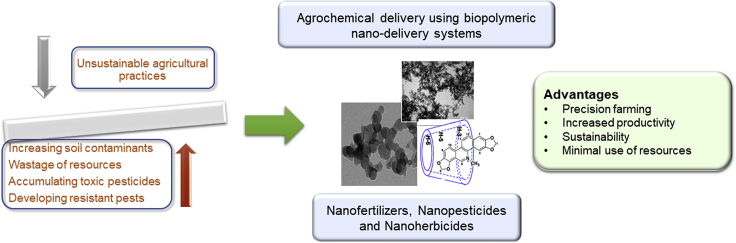 Figure 4