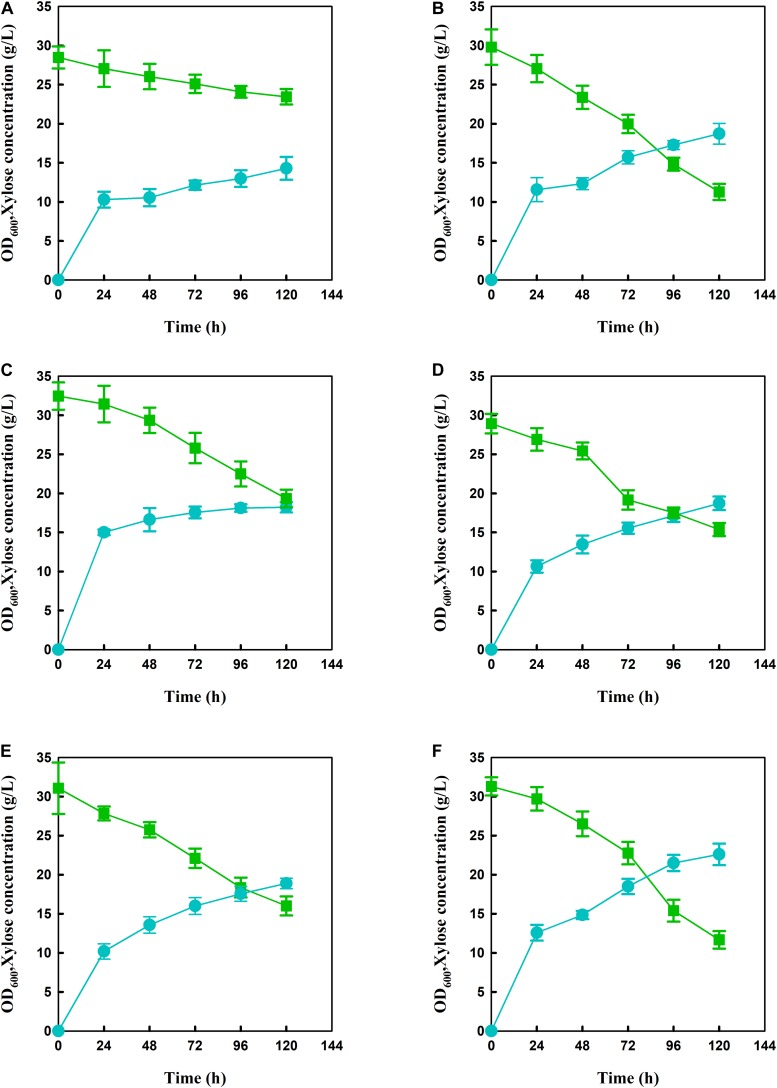 FIGURE 2