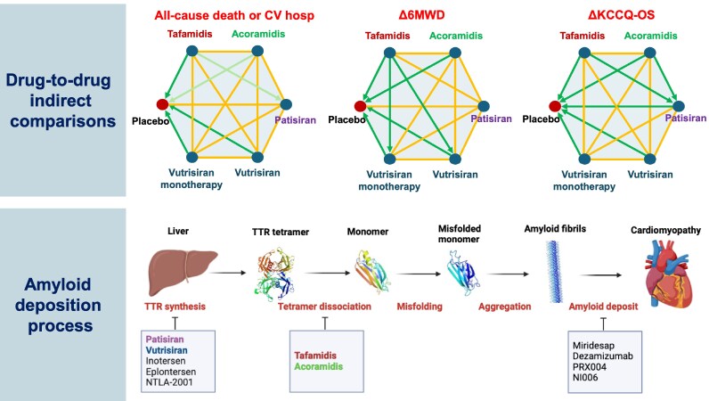 Graphical Abstract
