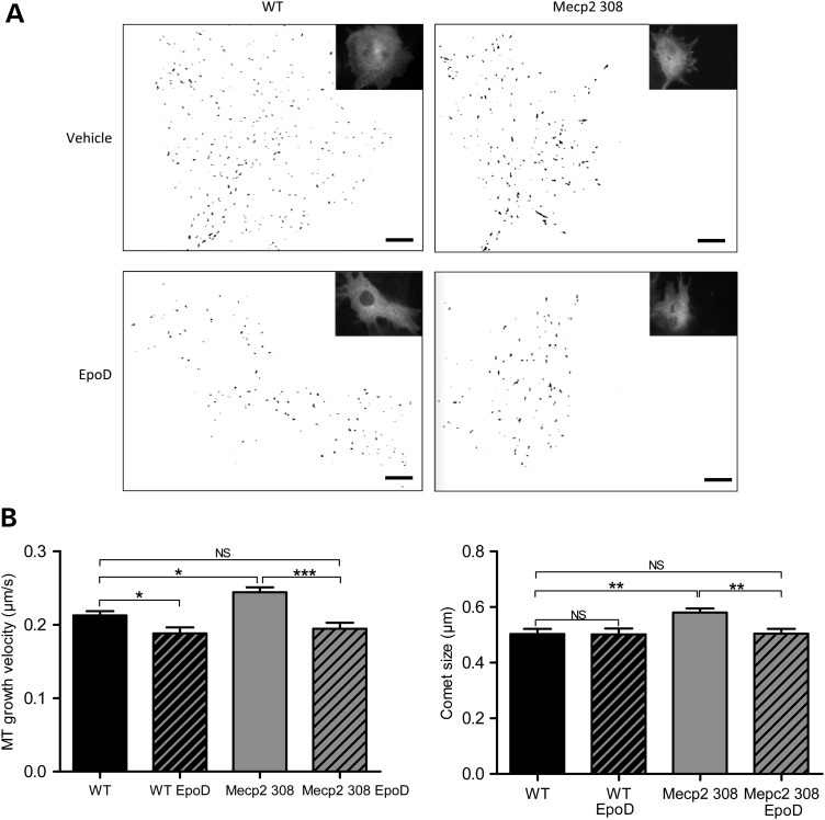 Figure 2.