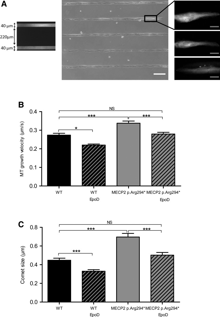 Figure 3.