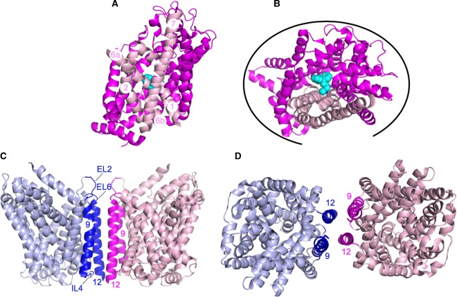 Figure 2.