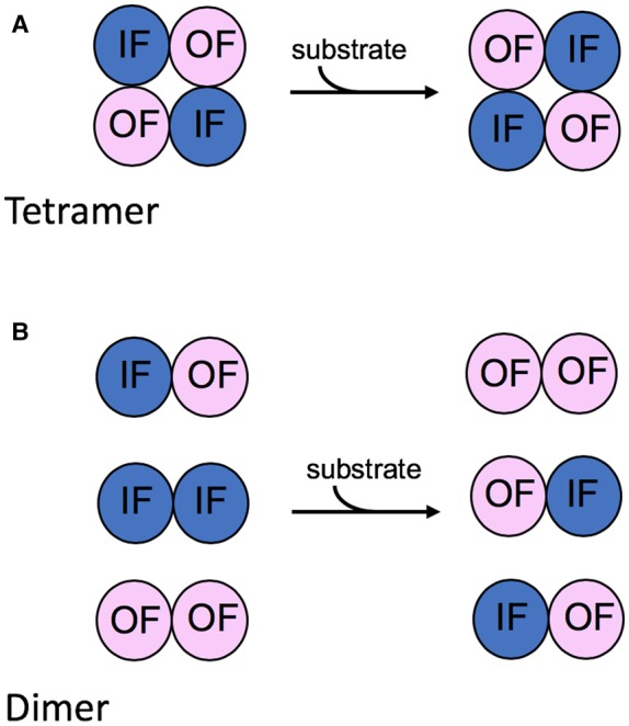 Figure 3.