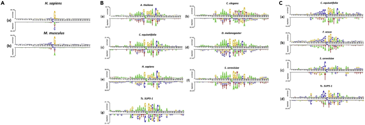 Figure 1