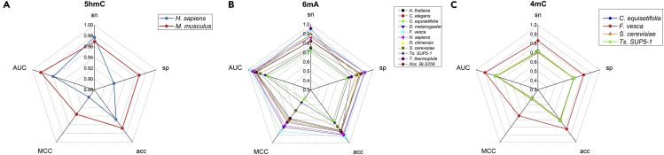 Figure 4