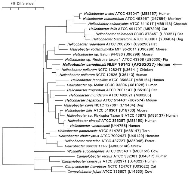 FIG. 1