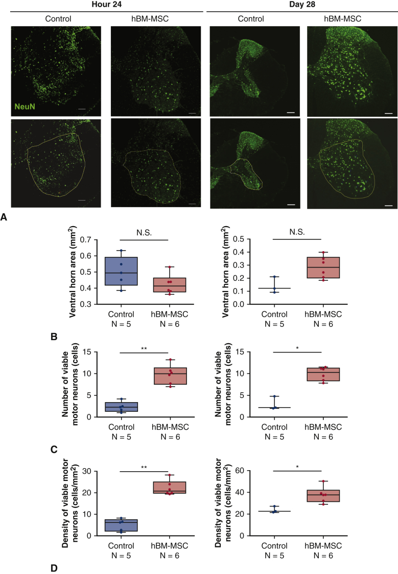 Figure 6