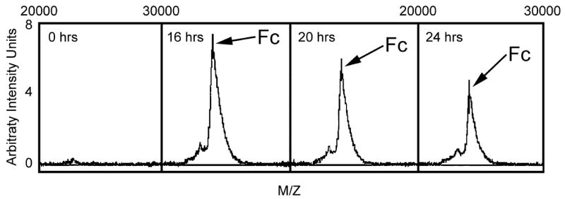 Fig. 6