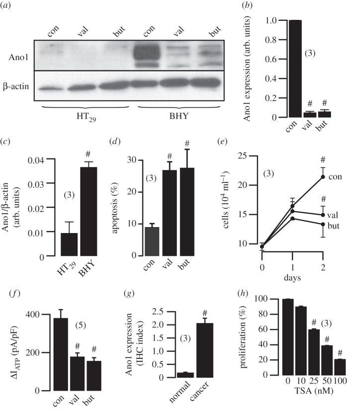 Figure 3.