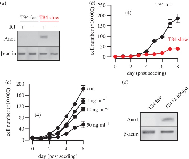 Figure 5.