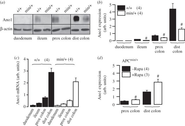 Figure 4.