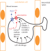 Figure 2.