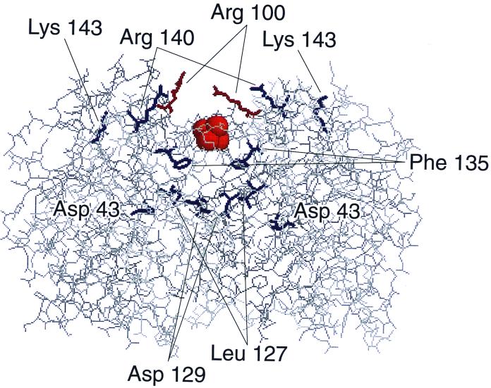 FIG. 1