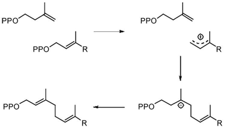 Scheme 3