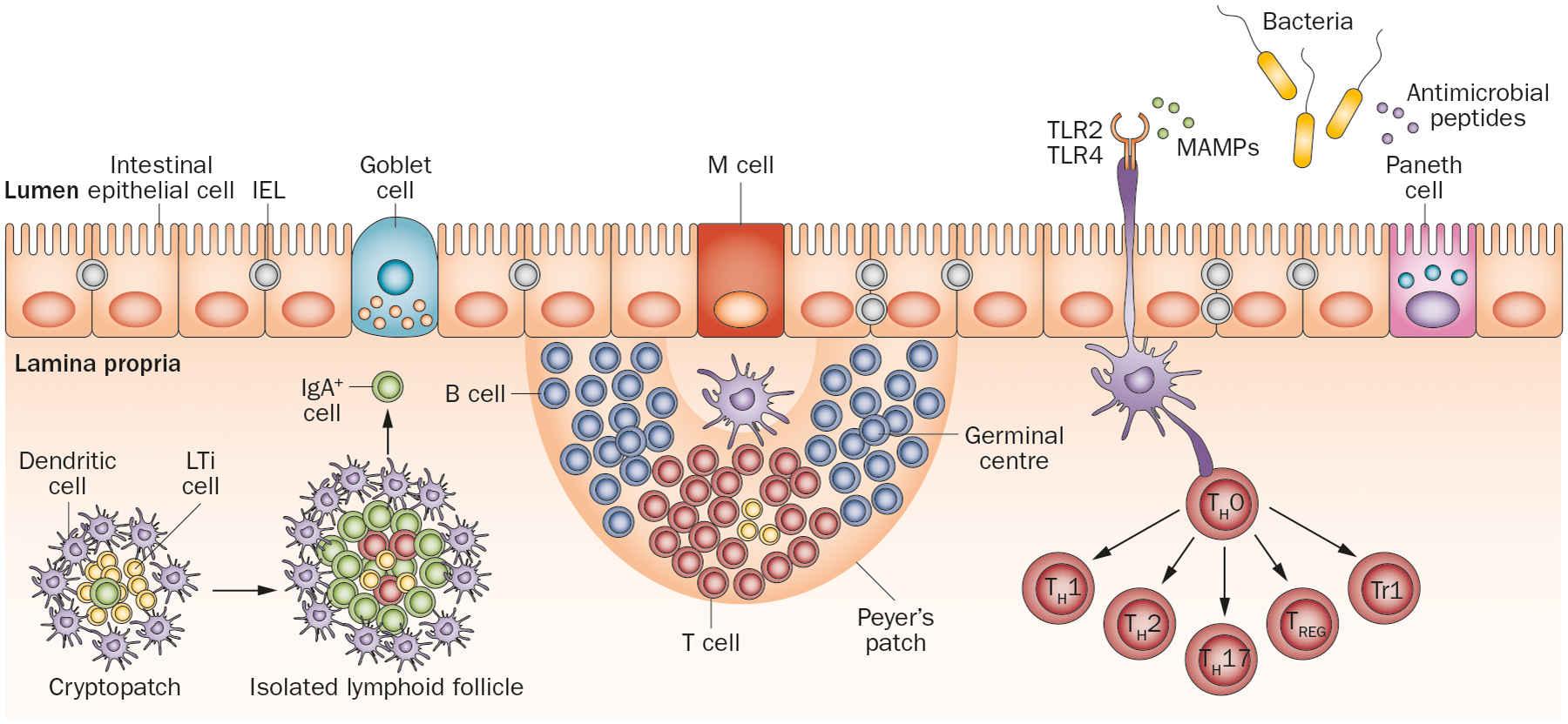 Figure 3 |