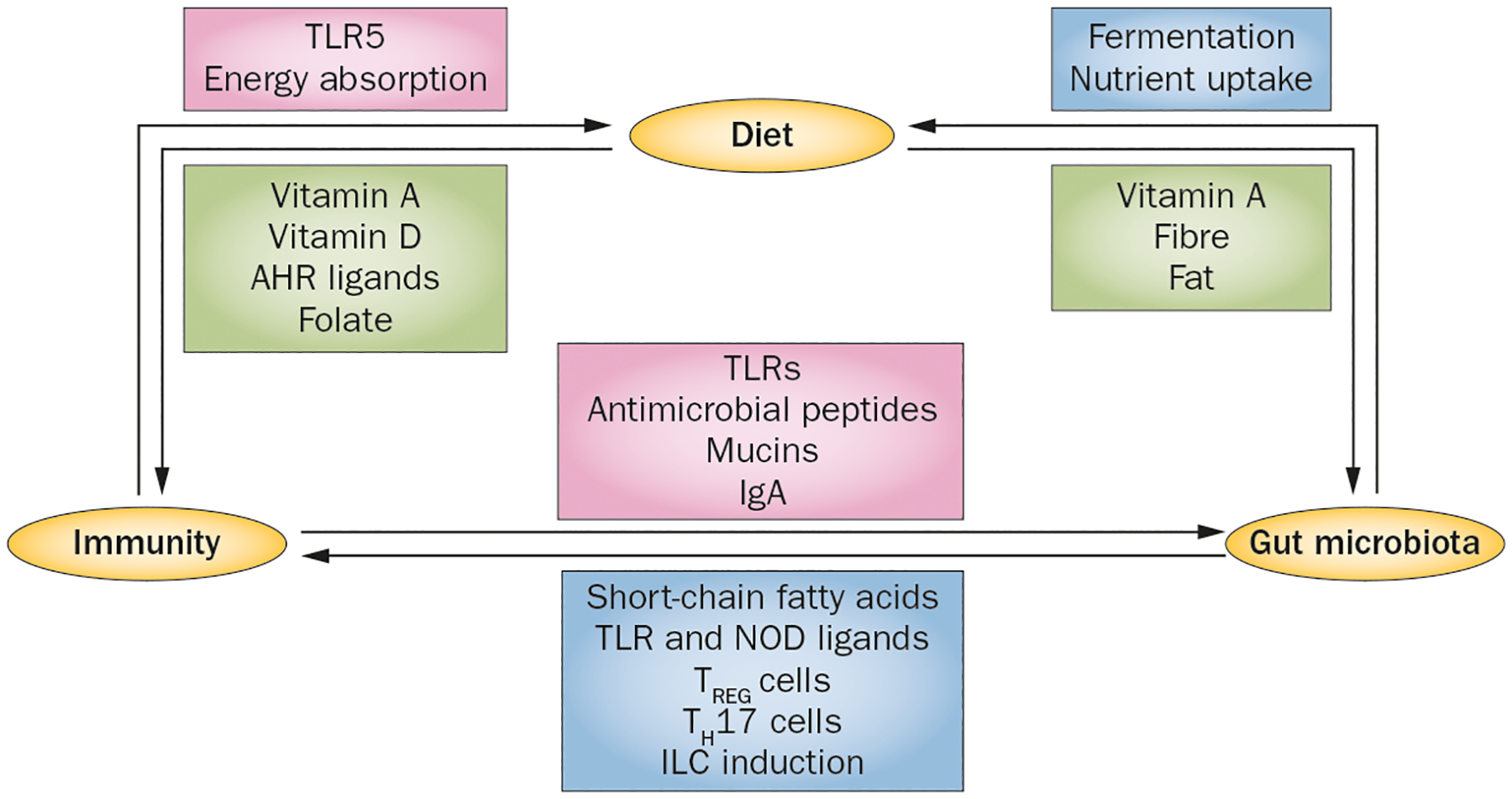 Figure 1 |