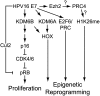 Fig. 8.