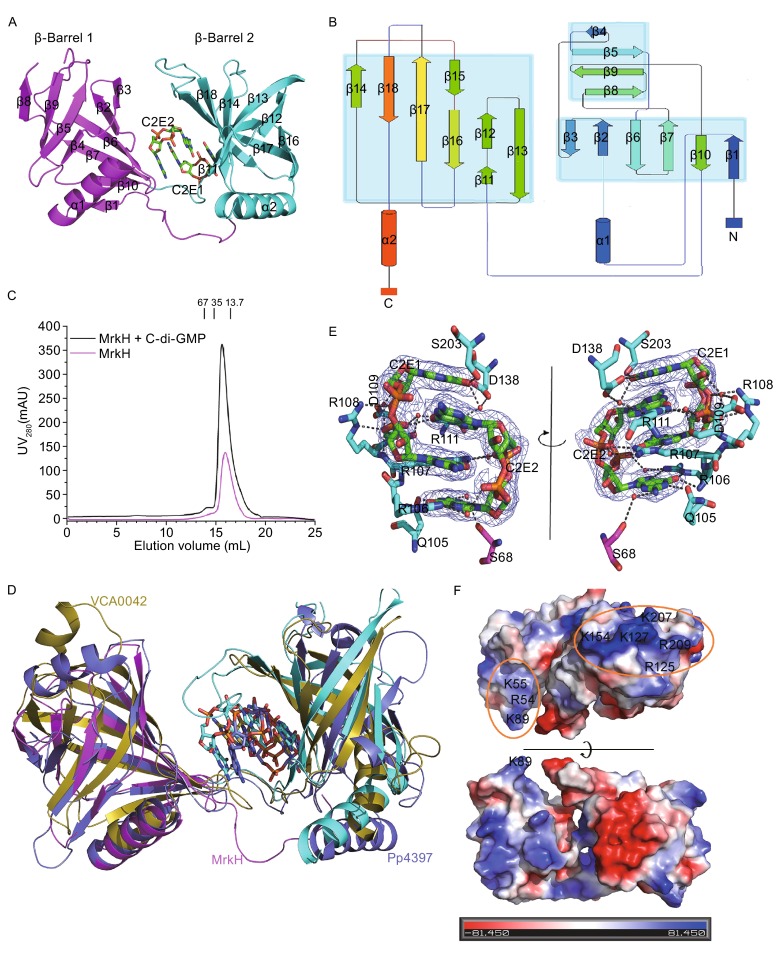 Figure 1