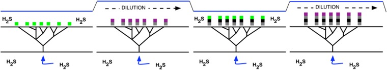 FIGURE 6