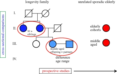 Figure 1.