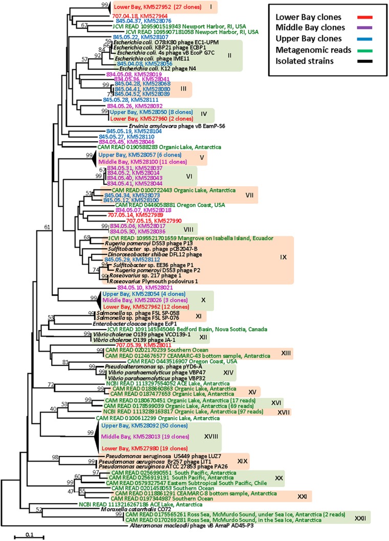 FIG 2