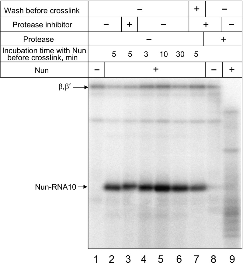 Fig. S1.