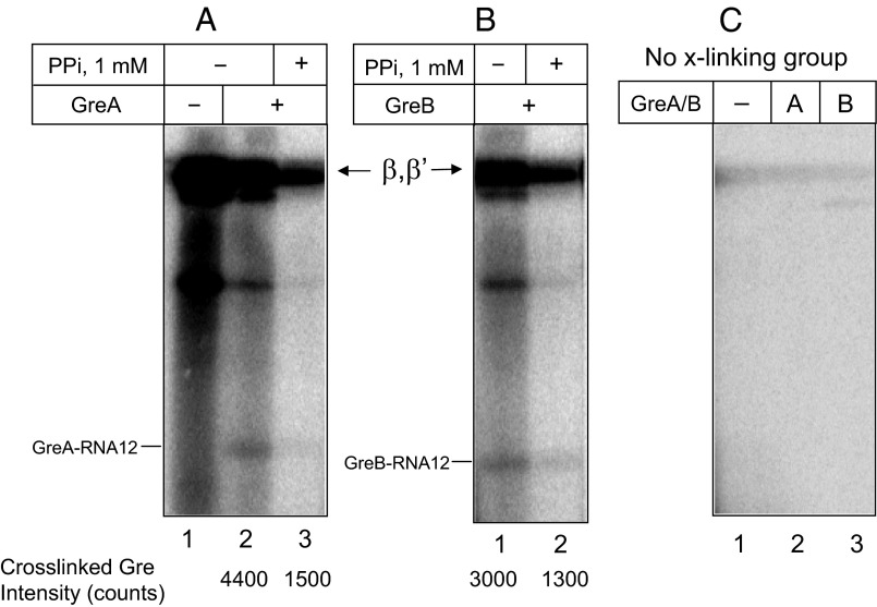 Fig. S5.