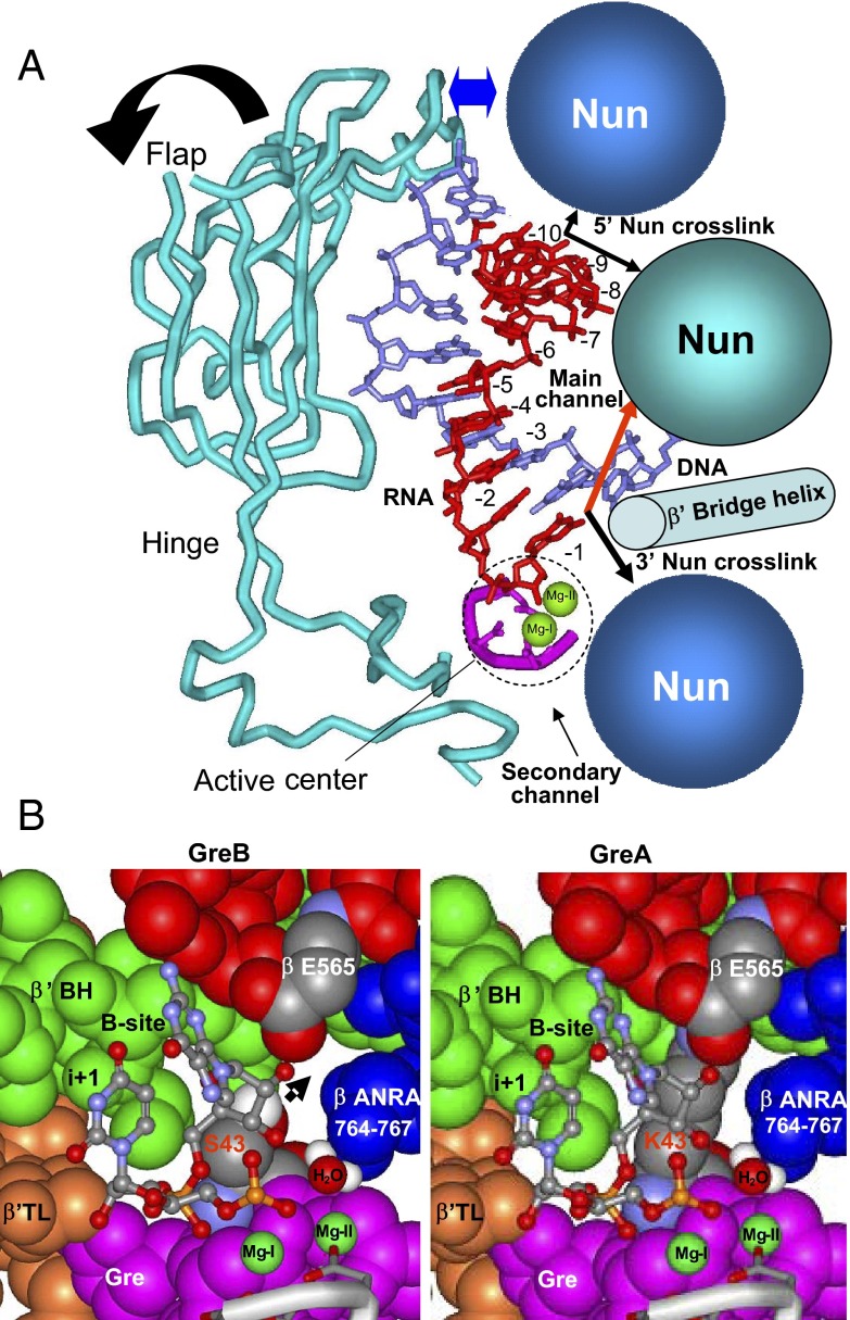 Fig. 6.