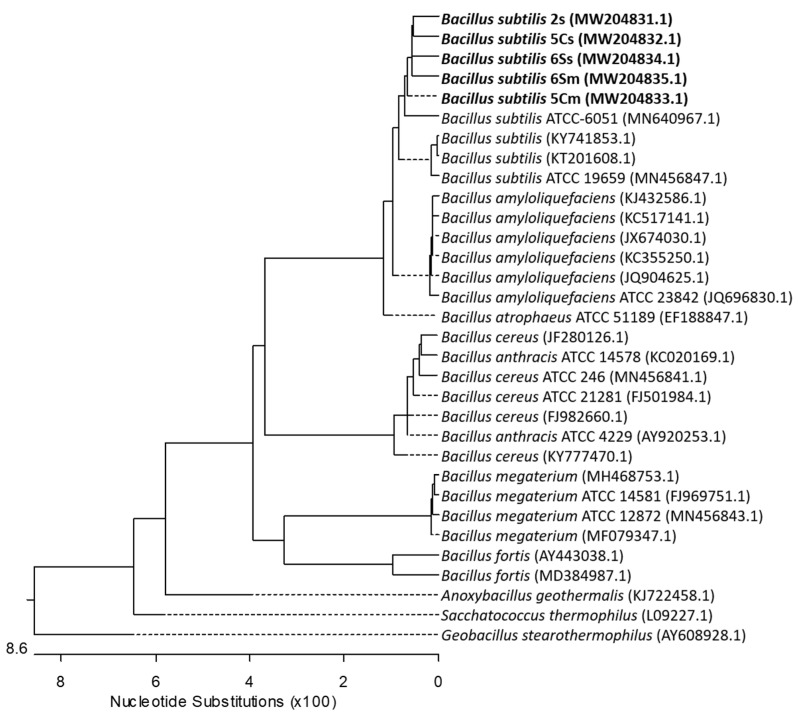 Figure 4