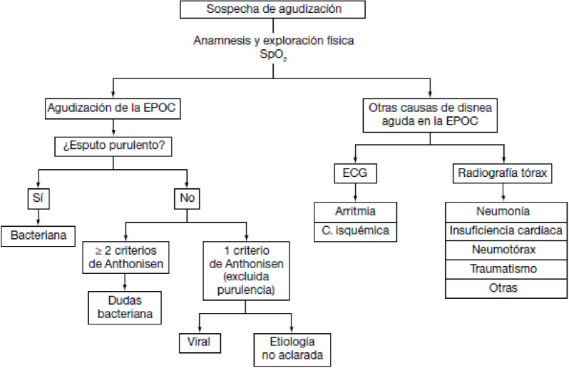 Figura 2