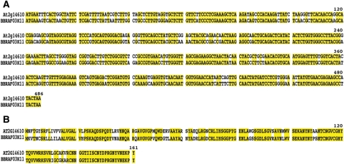 Figure 4.