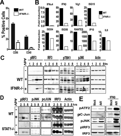 FIG. 6.