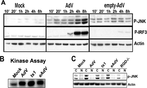 FIG. 5.