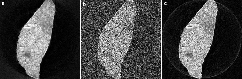 Fig. 10