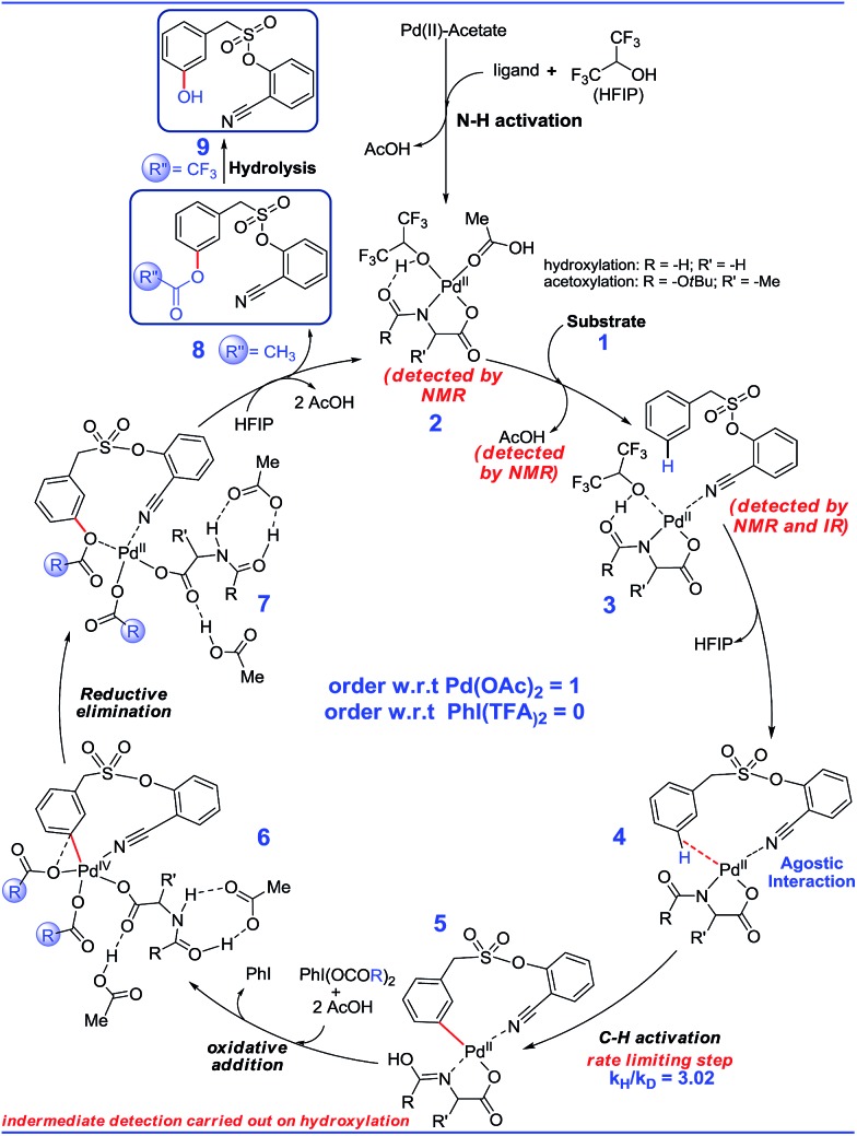 Scheme 7