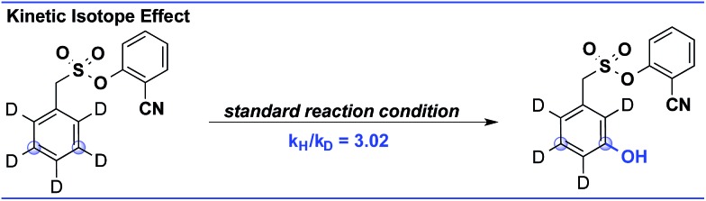 Scheme 6