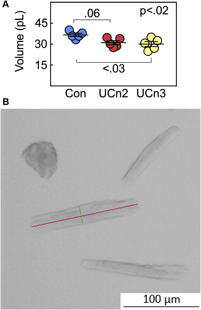 Figure 7