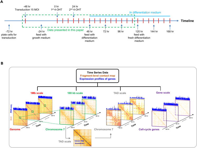 Figure 1