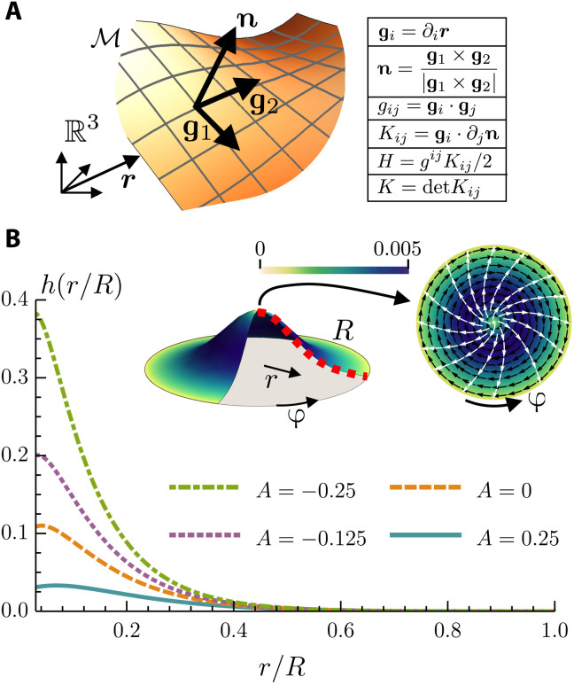 Fig. 2.