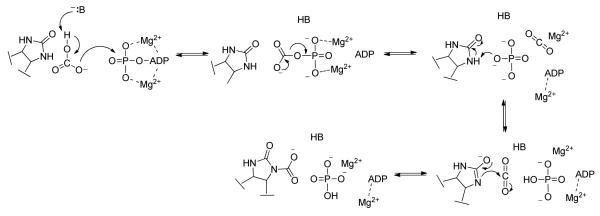 Scheme 2