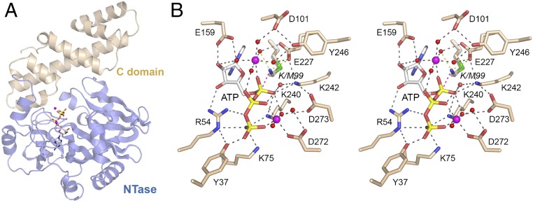 Fig. 1.