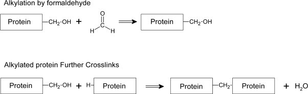 Figure 1.28