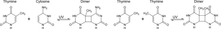 Figure 1.19