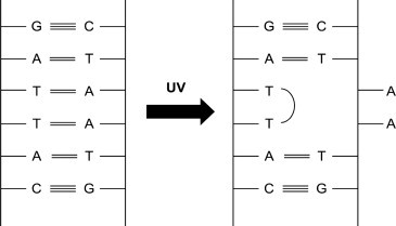 Figure 1.18