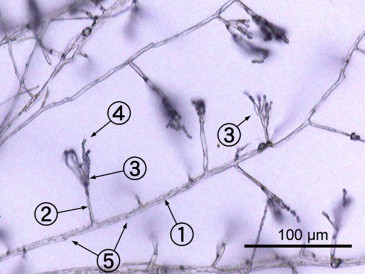 Figure 1.9