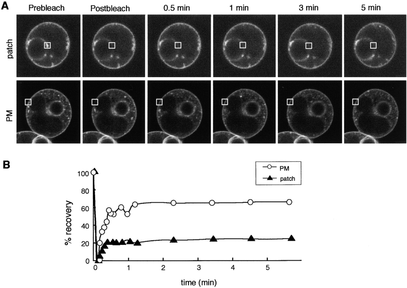 Figure 4.