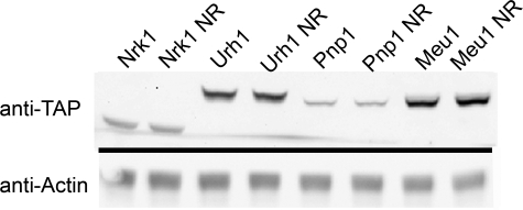 FIGURE 4.