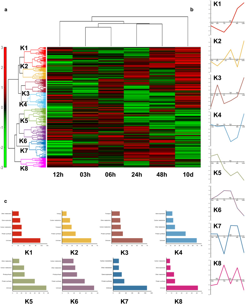 Fig. 1