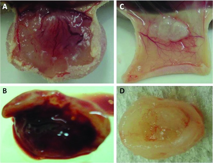 Figure 5.